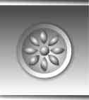 flower or rosette